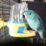 20130729_094201