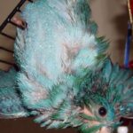 linnie-bath-920x400